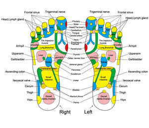 Foot Reflexology Walk Stone